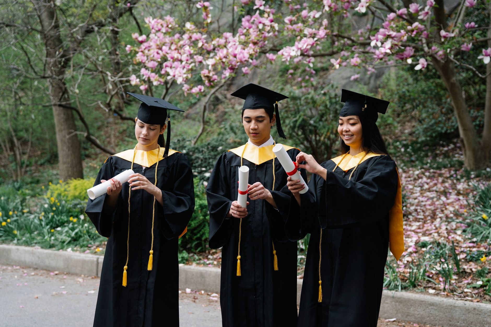 Three graduates in caps and gowns celebrate outdoors with diplomas under blooming magnolias.